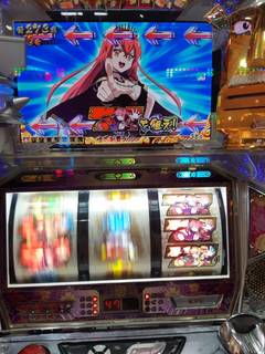 25146.jpg